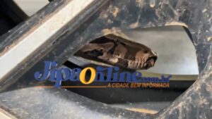 🐍SUSTO! Jiboia é encontrada enrolada em roda de carro em supermercado de Ji-Paraná