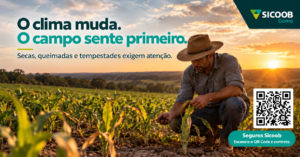 Rondônia em alerta: seca, queimadas e tempestades exigem atenção no campo