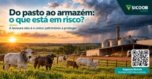 Do pasto ao armazém: como o clima extremo pode prejudicar a produção rural.
